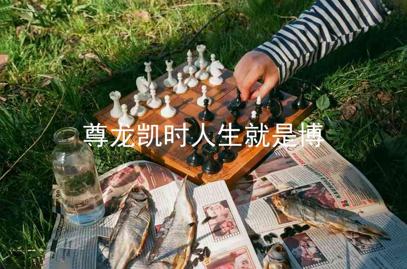 尊龙凯时人生就是博
