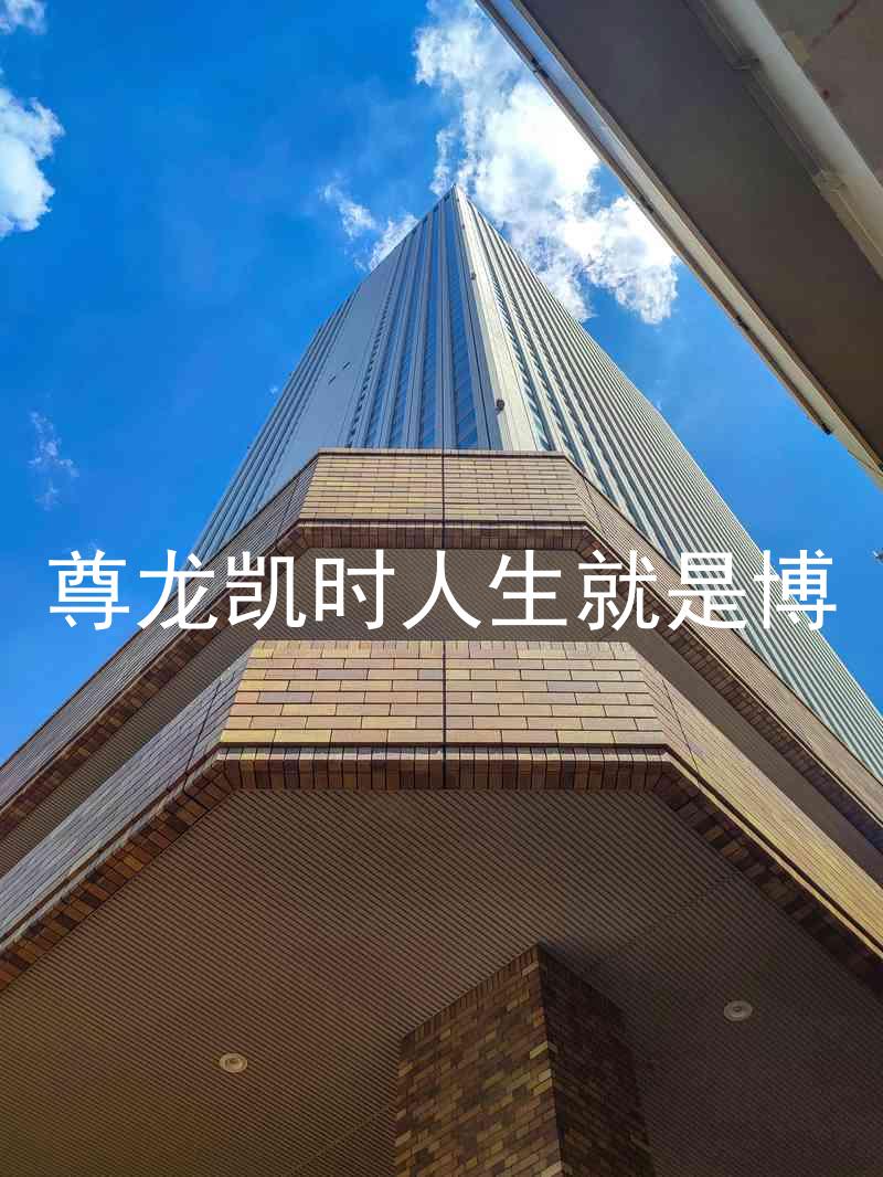尊龙凯时人生就是博