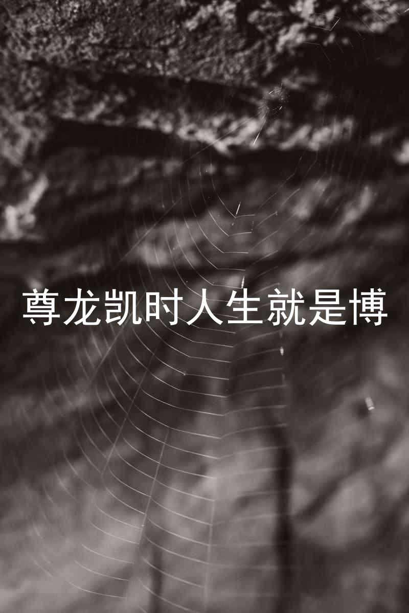 尊龙凯时人生就是博