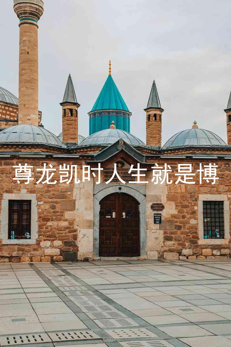 尊龙凯时人生就是博