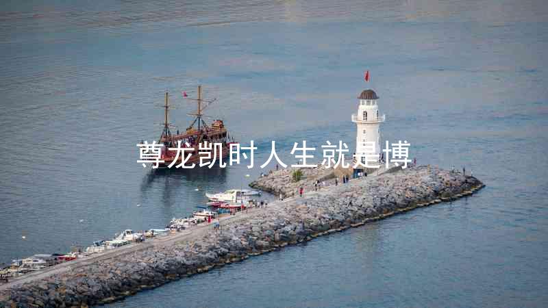 尊龙凯时人生就是博