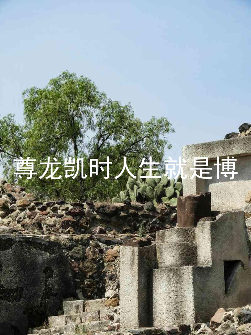 尊龙凯时人生就是博